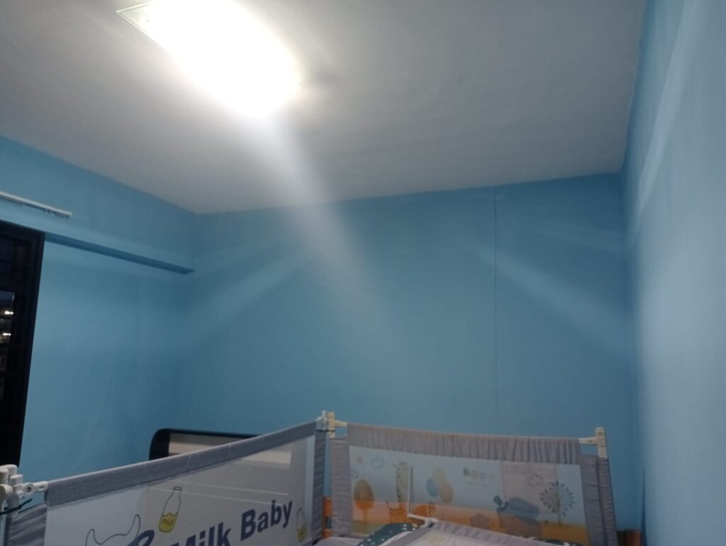painting services perth
