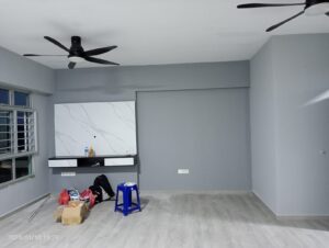professional house painting services