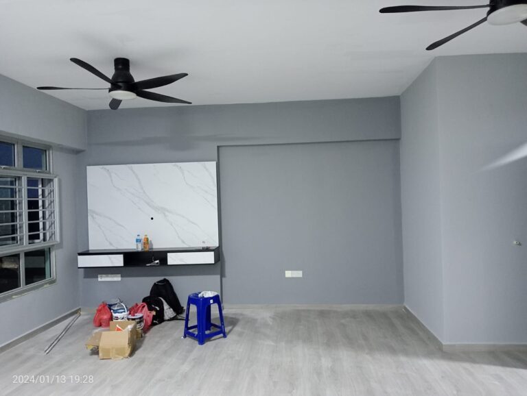 professional house painting services